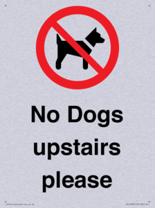 No Dogs upstairs please 